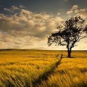 Meet your Posher, Aribi